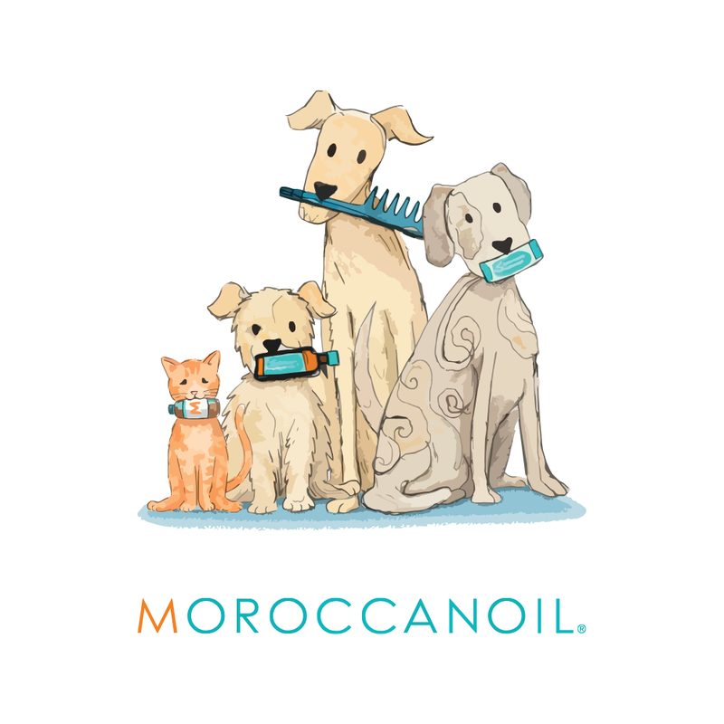 Moroccanoil Tratamiento 50 ml (Original o Light) + Tote Bag Edición Limitada 2